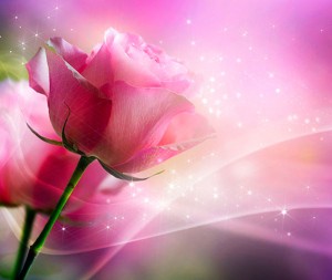 Fotooboi Cvety (120)